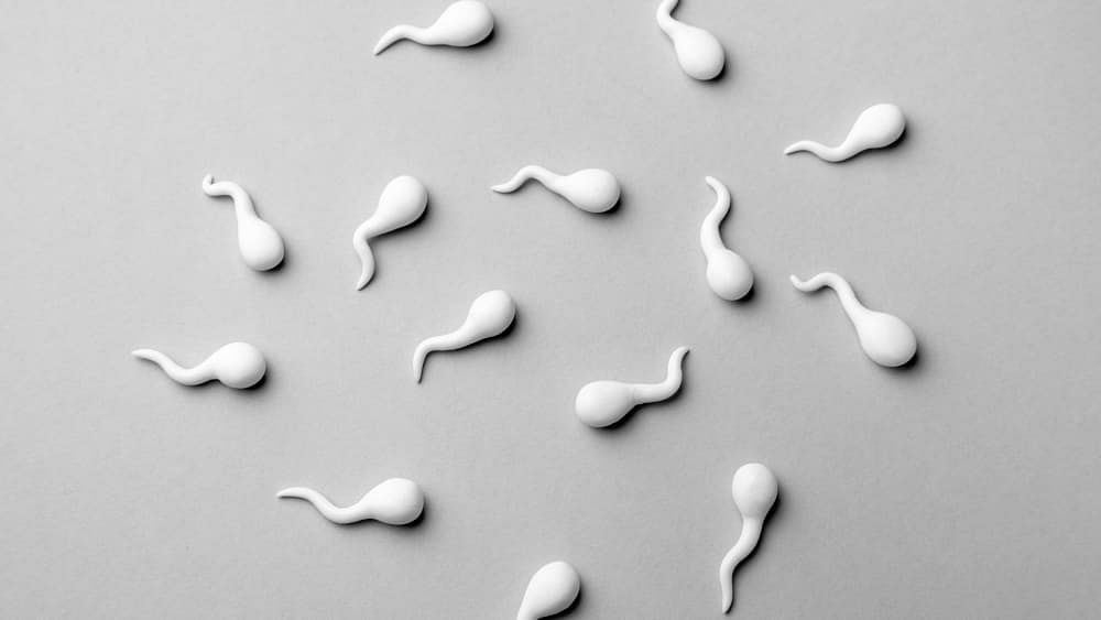 Is It Healthy To Eat Sperm Read All Faqs Bodywise 